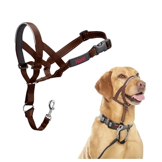 HALTI Kopfgeschirr - Verhindert, dass Ihr Hund an der Leine zieht, Einfache Anpassung, Leicht, mit gepolstertem Nasenriemen, Anti-Zug-Halsband für mittelgroße Hunde (Größe 3, Walnussbraun)