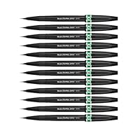 Recharges Pentel Arts Pocket Brush, Encre Noire, Lot De 12 Pentel