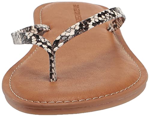 Image of Amazon Essentials Women's Thong Sandal