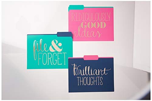 Roobee Gold Brilliant Thoughts, Ridiculously Good Ideas, File & Forget Decorative File Folders (Set of 9)