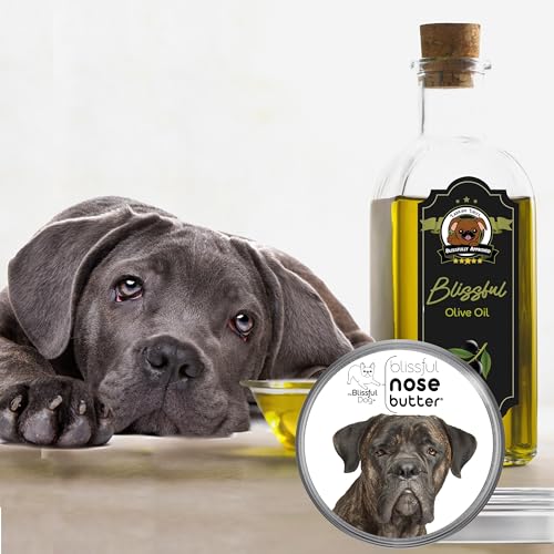 Image of The Blissful Dog Cane Corso Nose Butter for Dry, Cracked Skin, Lick-Safe Dog Nose Balm with Moisturizing Shea Butter, Almond, Olive, and Essential Oils, Pet Supplies, Uncented, 1 oz.