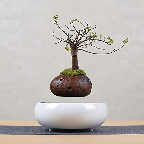 Maceta De Bonsai De Aire De LevitacióN MagnéTica, DecoracióN De Esc