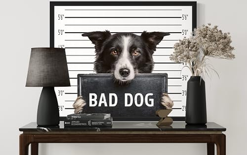 Image of aj decor Border Collie Mugshot Wall Art Print Poster, Dog Pet Lover Picture Painting Artwork Bedroom Living Room Office Dining Room 150D (Border Collie Mugshot, 16 x 20 inches, Black Frame)
