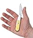 Case Cutlery Barlow Yellow Synthetic
