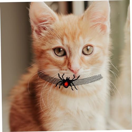 Collier de chat Halloween spider design ajustable avec clochette sonore