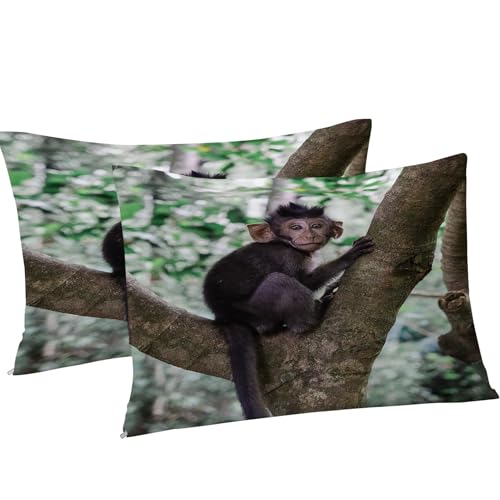 Housse de couette singe animaux 160x200 pour chambre enfant ludique - 5