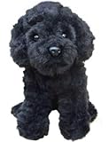 Black Puppy Poodle 12