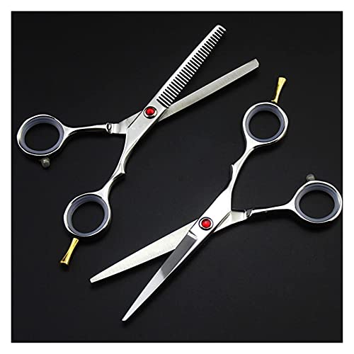 Ciseaux de coiffure amincissants de 5,5 pouces en ensemble complet pour salon