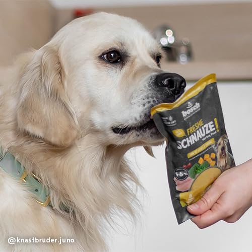 Bosch Freshe Schnauze, Huhn mit Kürbis und Brokkoli 8 x 250 g, Schonend Dampfgegartes Nassfutter für Hunde, Vollwertiges Alleinfuttermittel mit hohem Fleischgehalt, 8 x 250 g Hundenassfutter