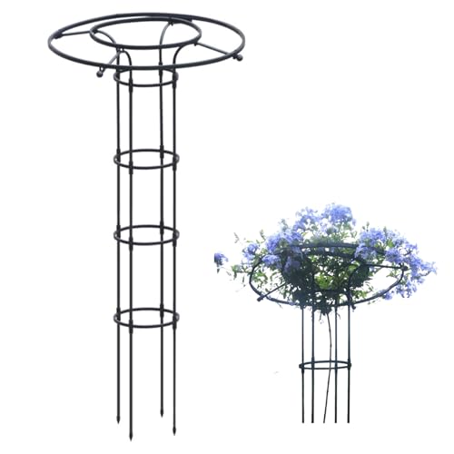 Qumkpo ガーデンオベリスク バラのアーチ 薔薇用 オベリスク 傘型 庭園アーチ 屋外耐候性 軽量ポータブル 変形防止設計 パティオ/結婚式装飾/家庭園芸向け 頑丈な鋼管構造(90cm)