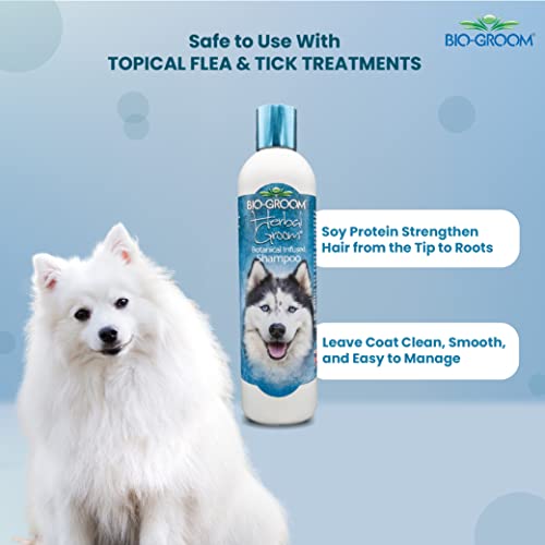 Image of Bio-Groom Herbal Groom Conditioning Shampoo for Dogs, Replenish Dogs Moisture and Maintain Coat Healthy, Silky, Shiny, Nourishes Skin and Keep Them Smelling Fresh, 355 ml | Herbal conditioning shampoo for healthy skin and shiny coat.