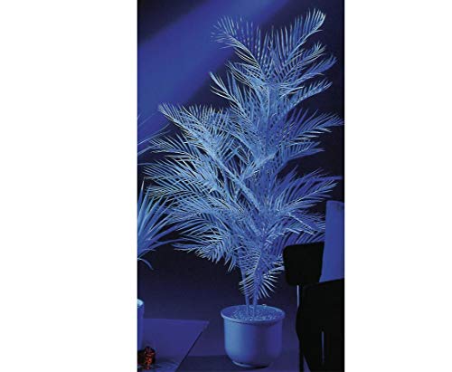 kunstpflanzen-discount.com Kentiapalme 1-Fach, uv-weiß, 90cm - Schwarzlichtdeko UV Licht Deko