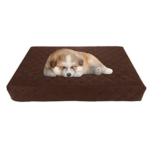 The 13 Best Pillow Dog Beds of 2022
