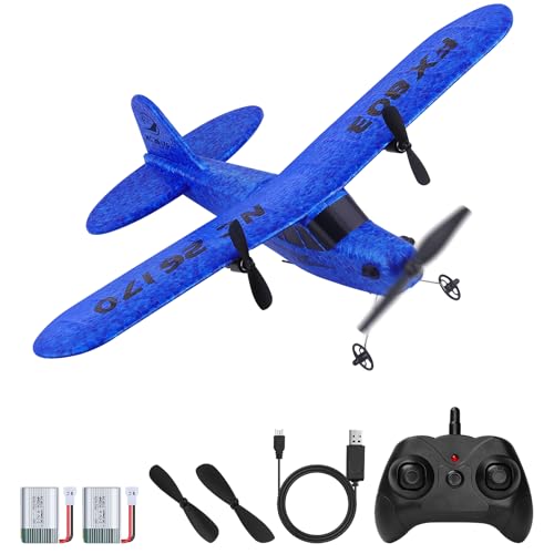 DEEGOO-FPV 2CH RC Airplane Toys, RC Plane Ready to Fly, 2.4GHz Remote Control Airplane Easy to Fly RC Glider for Kids & Beginners (Blue)