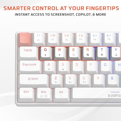 Image of EvoFox Katana S Mini Mechanical Keyboards Wireless | Tri-Mode (3X BT, 2.4GHz & Wired) Connectivity | Hot-Swappable Red Switches | 68-Key Compact Layout | Rainbow Backlight | Rechargeable Battery