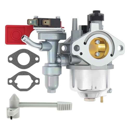 Carburateur pour réparer moteur Vanguard 84004885 rénovation motoculture