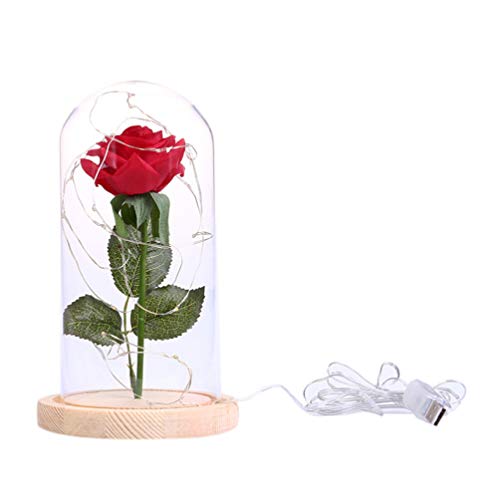PIXNOR - flores de rosa de A Bela e a Fera, dura para sempre em redoma de vidro com luzes LED USB, m