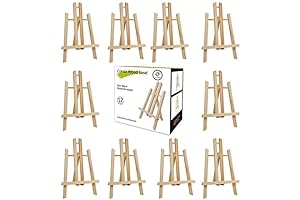 12-Pack Party Canvas Easels