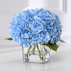 Hydrangea-blue