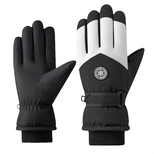 XL[O[u Xm[O[u XL[ fB[X Y  h  N X}zΉ H Xm{[p h ~ h h ۉ ϖ oCN oR TCNO Ɨp ~p jp (ST90 Y - ubN/