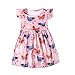 Toddler Girls Dress Pink Chicken Hen Print Dresses Short Sleeve 4-5T