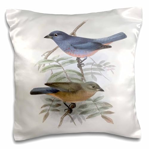 3D Rose Vintage Blue and Peach Birds Pillow Case, 16" x 16"