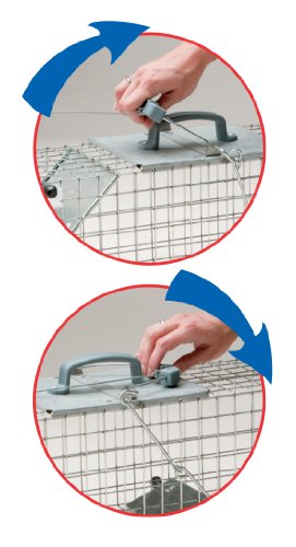 Havahart Easy Set Small 1-Door Animal Trap for Rats and Small Squirrels - 1082-Made in the USA - Thumbnail 7
