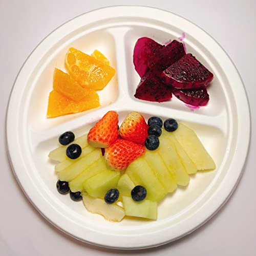 disposable plates microwave-safe