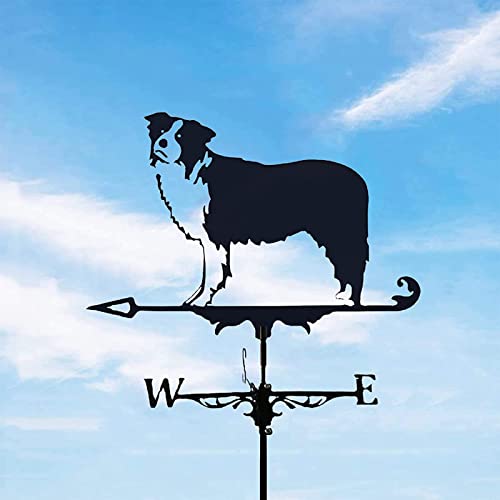 Indicateur de direction du vent girouette extérieure avec support de montage