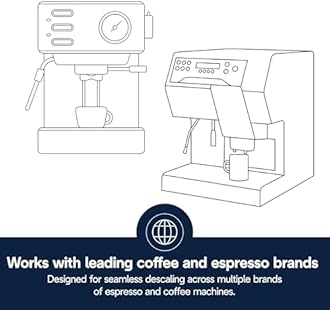 De'Longhi DLSC500 Descaling Agent for De'Longhi Fully Automatic Coffee Machines, Maintenance, Made in Italy, 16.9 fl oz (500 ml), 1 Bottle