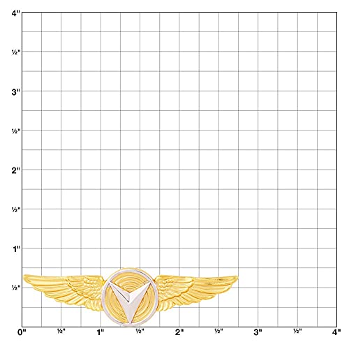 MEDALS OF AMERICA EST. 1976 海兵隊 無人航空機システム 入隊