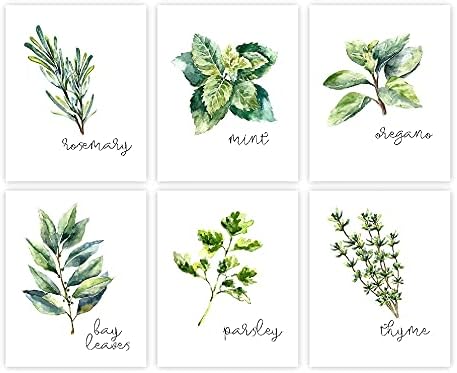 Kitchen Herbs Art Prints - Botanical Prints - (Set of 6) - Unframed - 8x10s