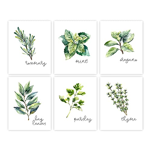 Kitchen Herbs Art Prints - Botanical Prints - (Set Of 6) - Unframed - 8X10S #TOP15