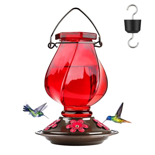 BOLITE Glass Hummingbird Feeders for Outdoors Hanging, Ant