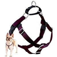 Algopix Similar Product 18 - 2 Hounds Design Freedom No Pull Dog