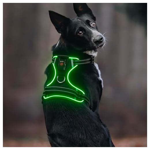 Leuchtendes Colaseeme Hundegeschirr
