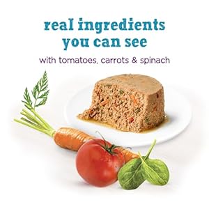   Purina-Beneful-Small-Breed-Wet-Dog-Food-IncrediBites-Pate-with-Real-Salmon-Recipe-Pack-of-12-3-oz-Cans