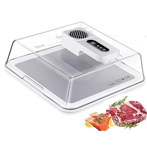 Vassoio per scongelamento elettrico, scatola di scongelamento rapido con coperchio e controller intelligente, scongelatore ricaricabile per cucina, campeggio e cena