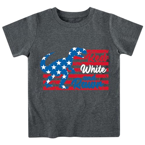 Image of Kids Independence Day Shirt 5-6 Years Old Toddler Dinosaurs 4th of July T-Shirt Outfit Short Sleeve Kid Boys American Flag Tee Grey for 4th of July