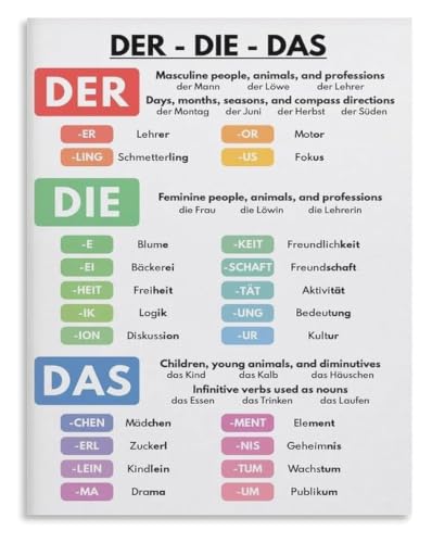 Adjective Placement Poster Grammar Guide Language Department