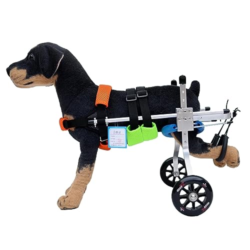 Silla de ruedas para perros y mascotas: devuélvele la alegría de correr y jugar