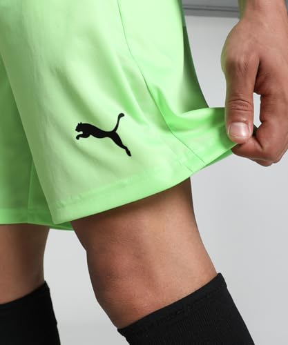 Image of Puma Men Shorts