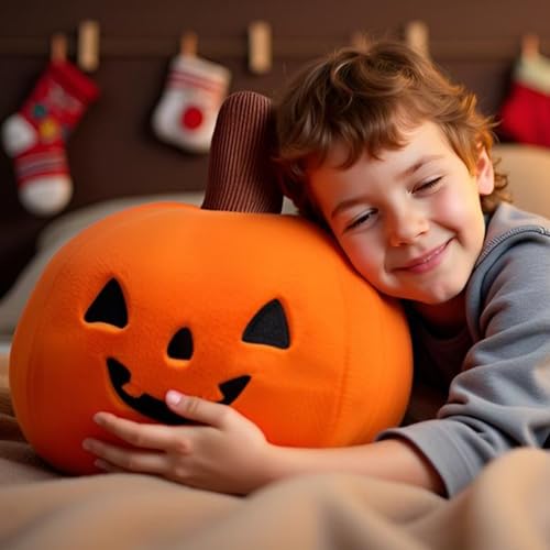 Image of Ryttir 15.7 Inch Big Creative 3D Simulation Halloween Pumpkin Pillow,Fluffy Cars Pillow Outdoor Cushions for Car Owners,Cuddle Companion for Age 0+(Birthday Gender Neutral Gift)