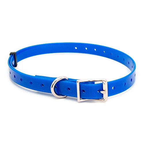 Arcea Polytec Collier pour Chien Bleu électrique 16 mm