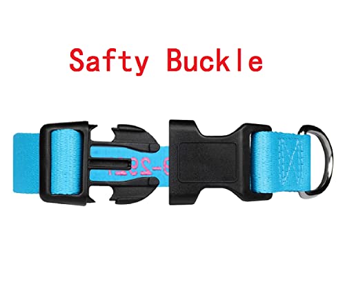 FlowerTown Personalized Dog Collar with Embroidered Name and Phone Number, Custom Dog ID Collars 4 Adjustable Sizes with Safety Release Buckle and D-Ring (Normal), Blue - Image 3
