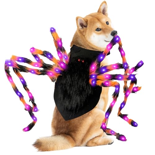 Big Dog Halloween Kostüme, großes Hundespinnenkostüm, riesige Spinnen -Halloween -Kostüm für mittelgroße Hunde, lustige Kostüme
