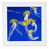 Square dimensions (in inches): 6 L x 6 W, image dimensions (in inches): 4 L x 4 W 100% poloyester; image is soft to touch. Made in USA Edges have pinking shear cut Image will not fade with washing. Image not a transfer, part of material