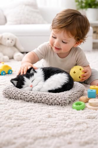 Image of Cute Sleeping Cat Soft Toy, Black & White, Medium