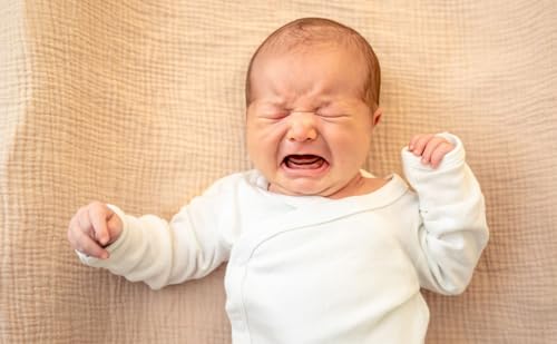 Graviditet &aelig;ndrer kvinders reaktion p&aring; babygr&aring;d