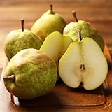 ラフランス 山形県産 秀品 約2kg 6~10玉 玉数おまかせ 西洋なし 贈答用 家庭用 果物 くだもの フルーツ ふるさとファーム